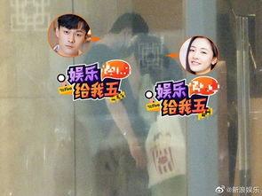 小花爆料家事视频全集,家事视频全集深度解析